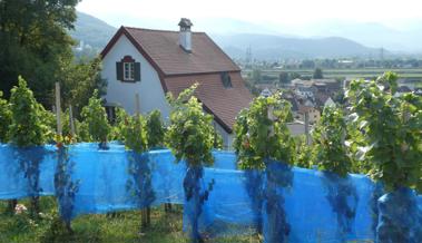 Bergliwimmet früher als früher