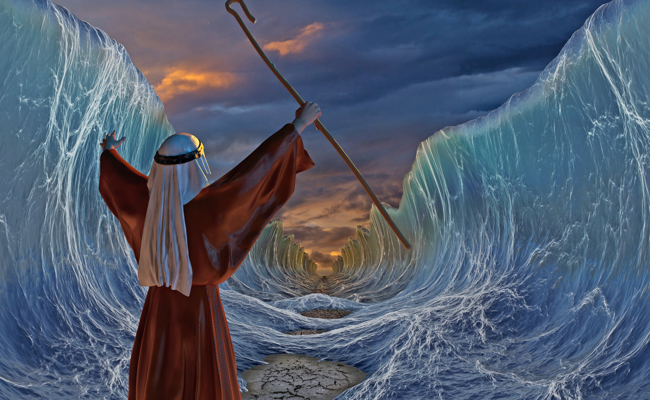 Gottes Antihelden:  Warum gerade die Schwachen Geschichte schreiben