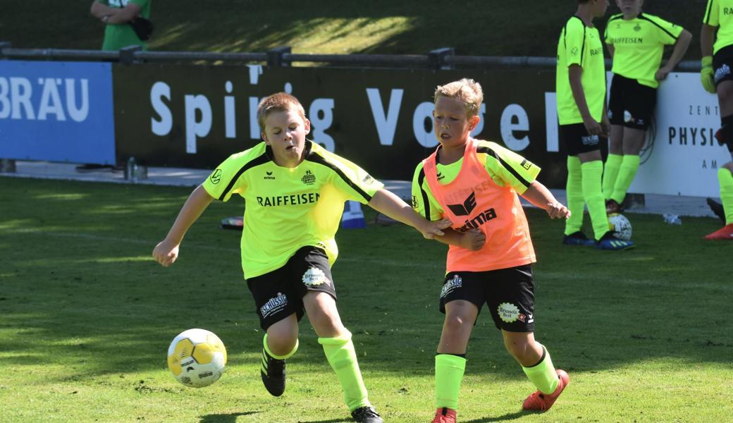 Auch im «Coronajahr» sind die Rheintaler Juniorencamps beliebt wie eh und je – täglich jagten Dutzende Kinder auf verschiedenen Plätzen dem Ball nach.