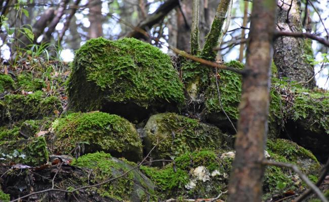 Uelis Burg wird neu vermessen