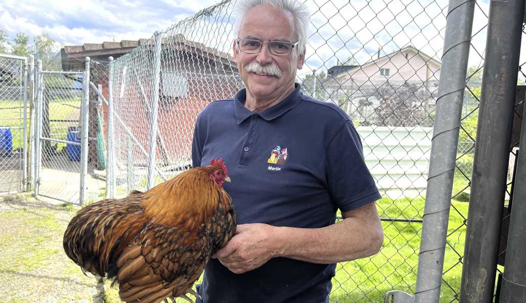 Geflügelobmann Martin Buschor mit einem Orpington. Das Zwerg-Orpington züchtet er in fünf Farben. 