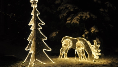 Der geschmückte Baum ist ein Symbol des Lichts im Dunkeln
