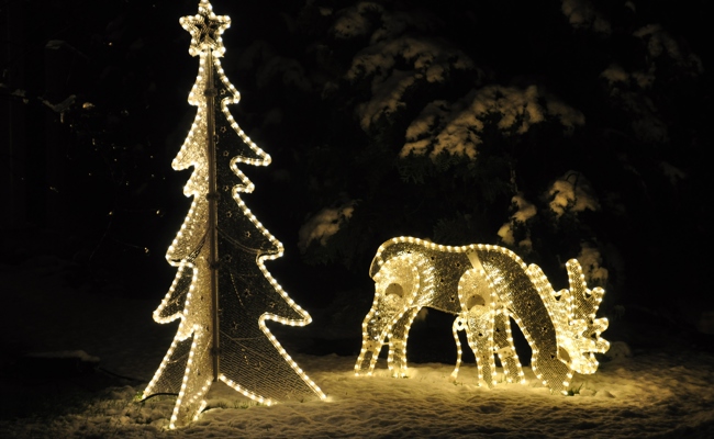 Der geschmückte Baum ist ein Symbol des Lichts im Dunkeln