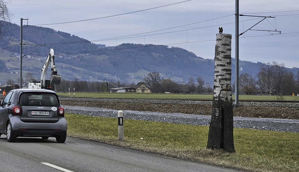 Manch einer erschrickt, wenn er beim Vorbeifahren die kleine technische Vorrichtung auf dem Baumstumpf wahrnimmt, weil er denkt, von einer modernen Radarfalle erfasst worden zu sein.