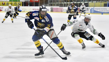 Neuauflage des letztjährigen Playoff-Finals in der KEB Aegeten
