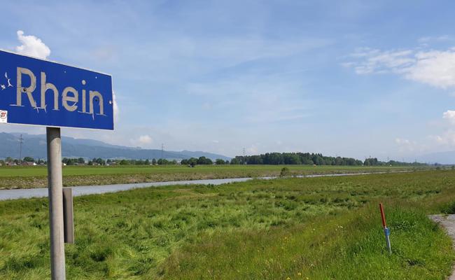Rhein-Knipsen
