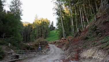 Jetzt wird der Bach ausgebaut