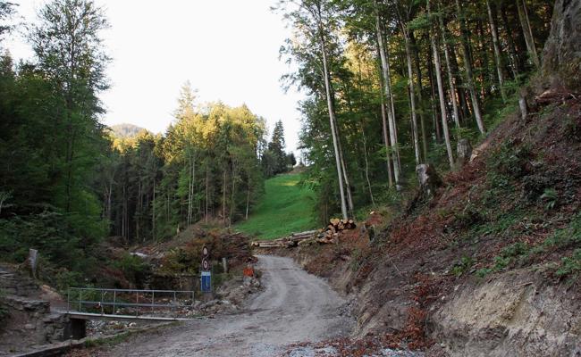 Jetzt wird der Bach ausgebaut
