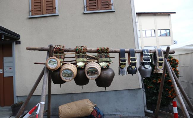 Viehschau: Kühe und Geissen auf der Breite