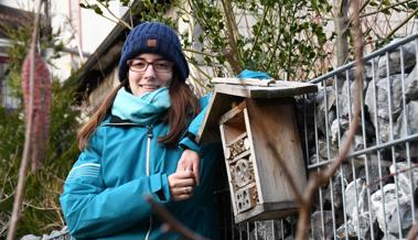 «Schwalbe» wieder fliegen lassen