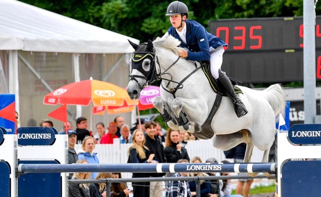 Mittwoch, Samstag und Sonntag: Drei Sporttage auf dem Gestüt Wichenstein