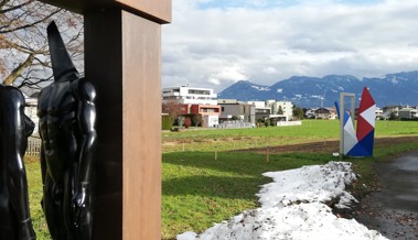 Was die farbig angesprühten Holzpflöcke auf der Wiese hinter den Kunstwerken bedeuten Was die farbig angesprühten Holzpflöcke auf der Wiese hinter den Kunstwerken bedeuten