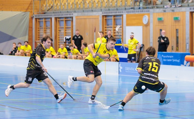 Richtungsweisendes Wochenende: Gators fordern Kellerteams