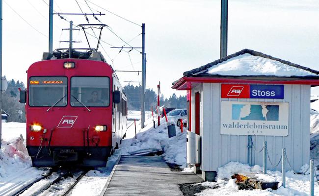 Getrübter Schlittelspass am Stoss