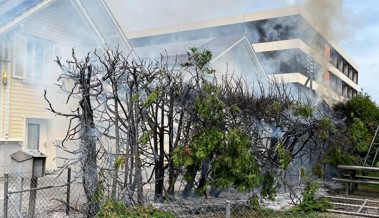 Mann fackelt mit Gasbrenner 15 Meter lange Hecke ab