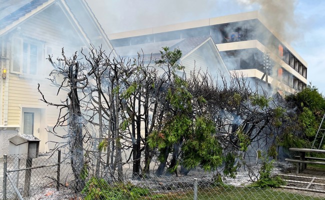 Mann fackelt mit Gasbrenner 15 Meter lange Hecke ab