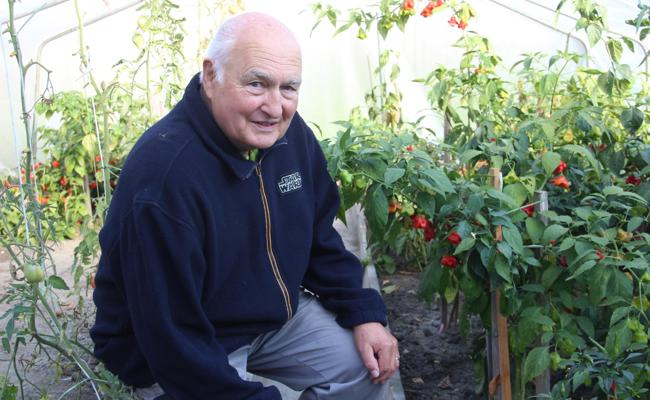 Chilifreund erntet oft Zwillinge