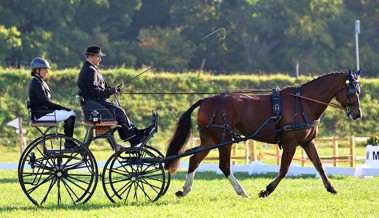 Kriessner Gespannfahrer gewinnt Silber an den Schweizer Meisterschaften im Kanton Genf