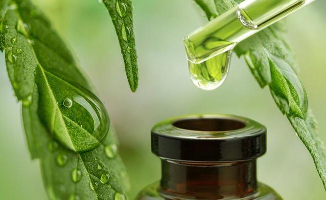 Cannabismedizin – die Qualität ist entscheidend!