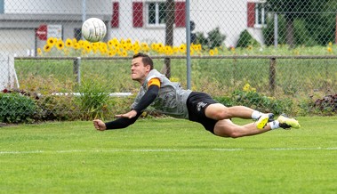 Faustball Widnau geht mit einem Sieg in die Sommerpause