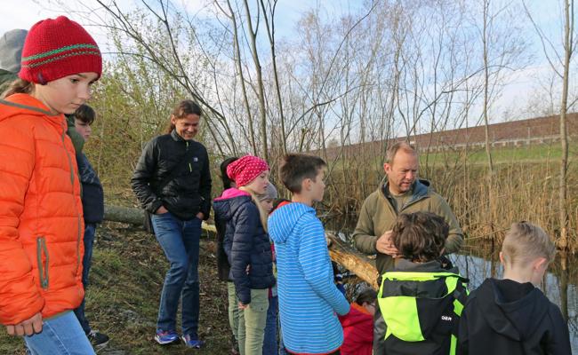 Schüler entdecken Biberspuren