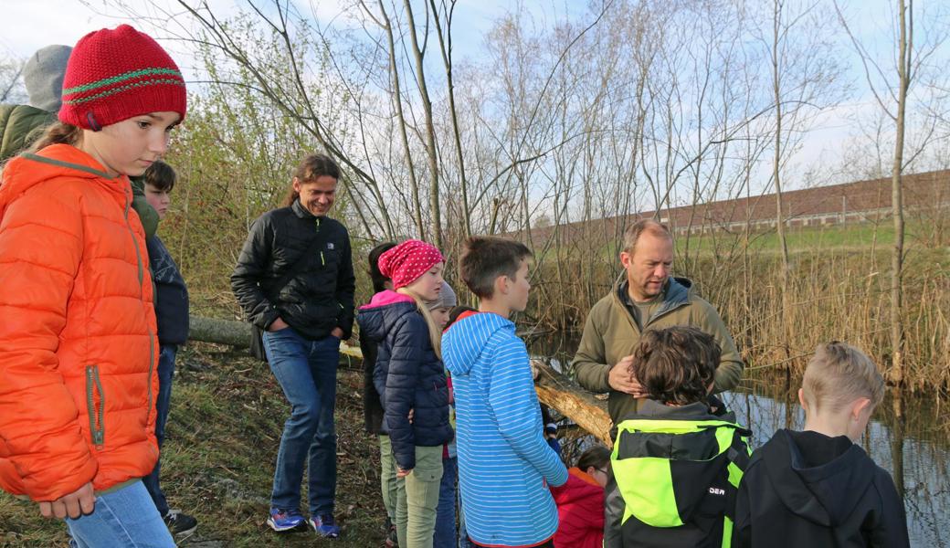 Wildhüter Mirko Calderara (rechts) erklärt den Schülern der dritten Klasse von Heinz Köppel, wie sie Nagespuren des Bibers erkennen.