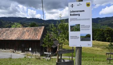 Am Forst nur noch an der Leine