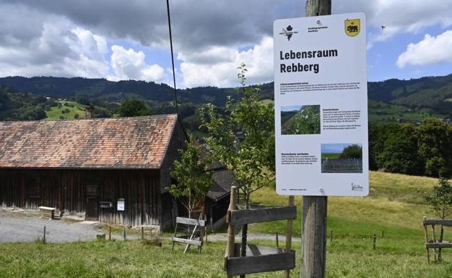 Am Forst nur noch an der Leine