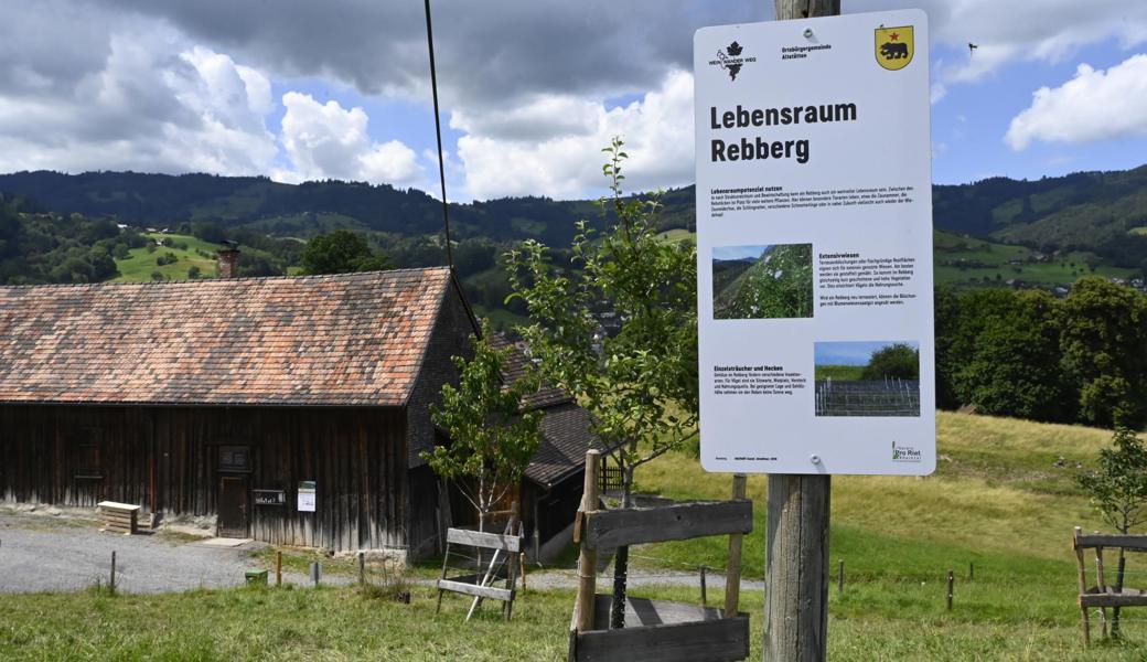 In den letzten Jahren wurden, wie hier beim Torkel der Ortsgemeinde Altstätten, grosse Flächen ökologisch aufgewertet. Hunde sollten aus diesen herausgehalten werden.