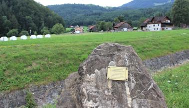 Ganze Tannen rauschten vorbei