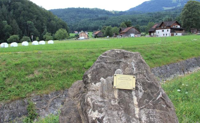 Ganze Tannen rauschten vorbei