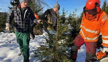 400 Kilometer entfernt: Hier kaufen die Walliser Diepoldsauer Weihnachtsbäume