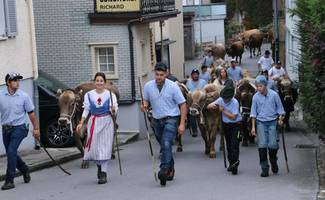 Drei Missentitel und 300 Tiere an der Jubiläumsviehschau