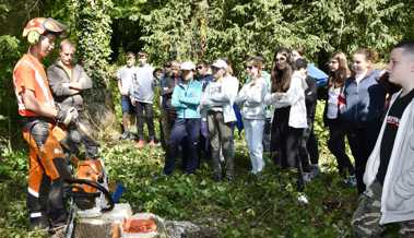 Schulzimmer an der frischen Luft: Kinder im Ortsgemeindewald