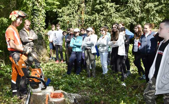 Schulzimmer an der frischen Luft: Kinder im Ortsgemeindewald