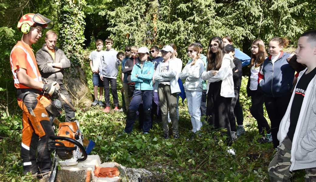 Nicola Heeb weiss als lernender Forstwart, worauf es beim Fällen eines Baumes ankommt. Er erklärt den Sechstklässlerinnen und Sechstklässlern, wie er vorgeht, und welche Sicherheitsmassnahmen er einhält.