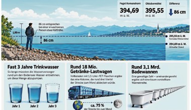 Wenig Schnee und Schmelzwasser: Der Bodensee ist um 461 Milliarde Liter geschrumpft