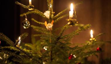 Rhyboot-Christbäume unterm Hammer