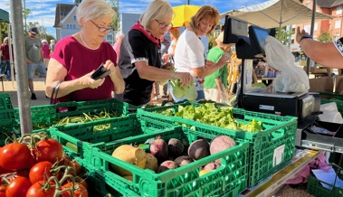 Frische landwirtschaftliche Produkte auf dem neuen Zentrumsplatz