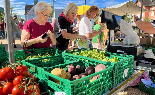 Frische landwirtschaftliche Produkte auf dem neuen Zentrumsplatz