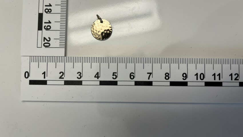 Sicherstellung E 1.14 Anhänger Sicherstellung E 1.14 Anhänger