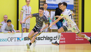 Gators verlieren spannendes Spiel gegen Tabellennachbarn