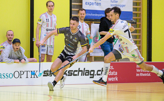 Gators verlieren spannendes Spiel gegen Tabellennachbarn