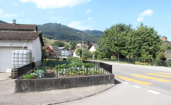 Wo sind die Bilder entstanden? (3. Teil)