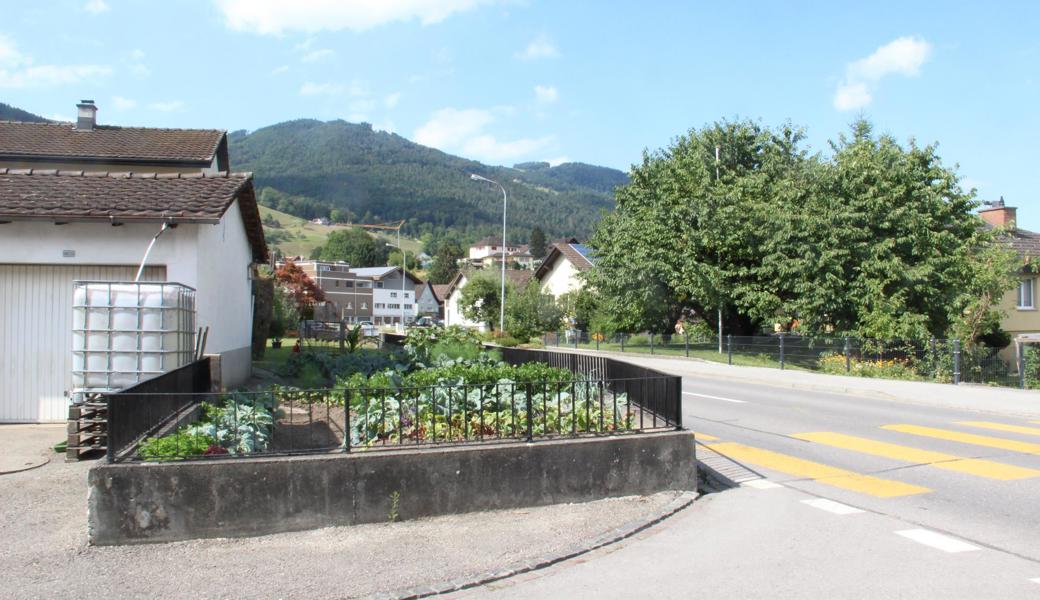 Lüchingen (B), Oberriet (R), Berneck (W), Thal (E)