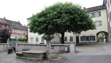 Nicht Museum will mehr Mauer