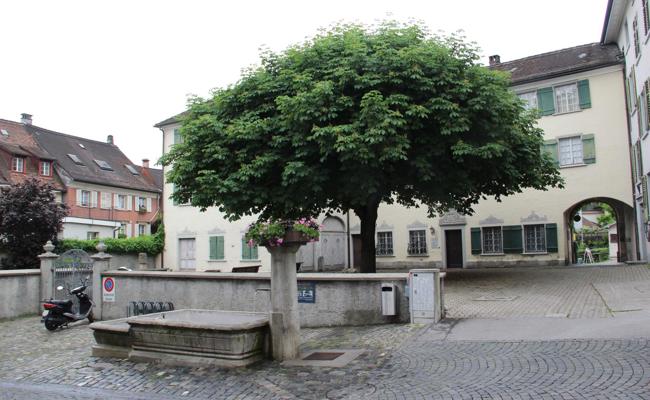Nicht Museum will mehr Mauer