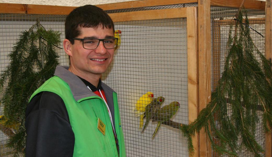 Ronny Hardegger aus Hinterforst ist selbst Züchter und seit elf Jahren Präsident des Sing- und Ziervogelvereins Rheintal.