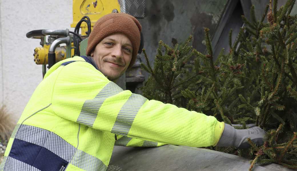 Markus Leupi sammelt die entsorgten Christbäume – ein Knochenjob.