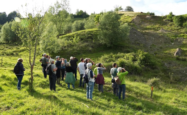 Rutschhang beobachtet: grosse Artenvielfalt in einer unruhigen Landschaft